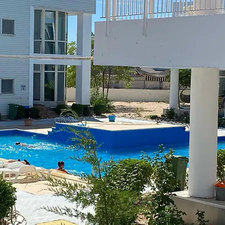 Apartament Efo On The *